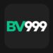 BV999 Game