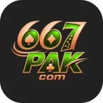 667Pak Game