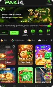 Pak14 Game