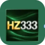 Hz333 Game
