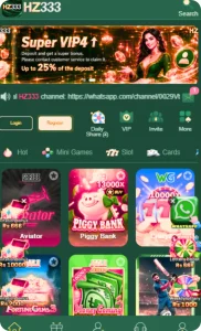 HZ333 Game