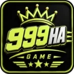 999HA Game