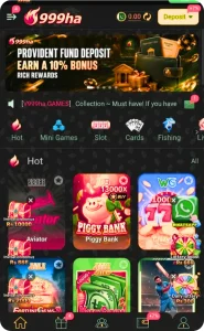 999ha Game